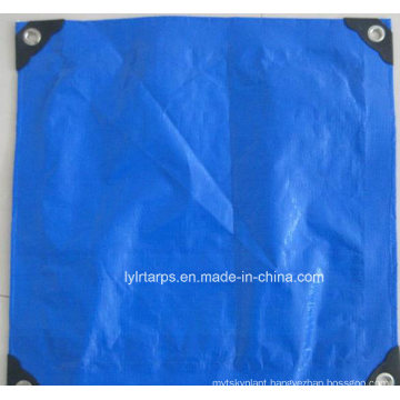 Durable Blue Plastic Tarpaulin Sheet with Good Eyelets and Black Corners